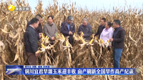 铜川宜君旱塬玉米迎丰收 亩产刷新全国旱作高产纪录