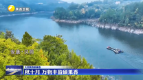 秋十月 万物丰盈硕果香