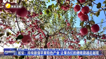 延安：持续做强苹果特色产业 让果农们的增收路越走越宽