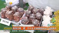 都市快报（2026-10-27）