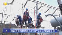 国内首座带负荷融冰变电站完成年度深度检修