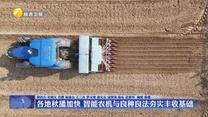 各地秋播加快 智能农机与良种良法夯实丰收基础
