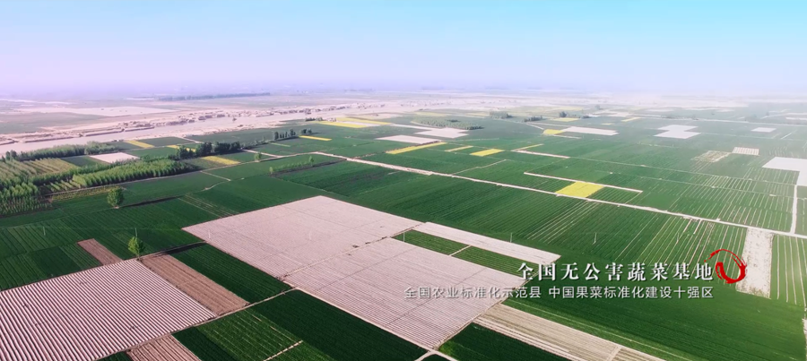 这里最陕亮丨华州形象宣传片——华州性格 - 西部网(陕西新闻网)