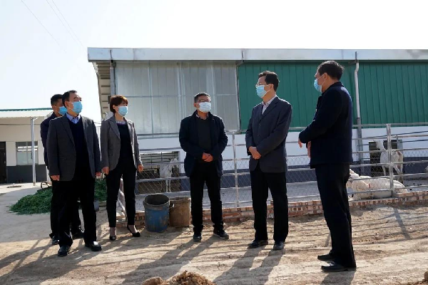 泾阳:张渭深入兴隆镇崔黄村,白王村调研脱贫工作情况