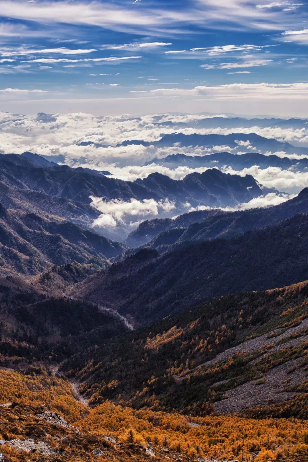 五四·青春 ·青山 |西安青年画家笔下大秦岭