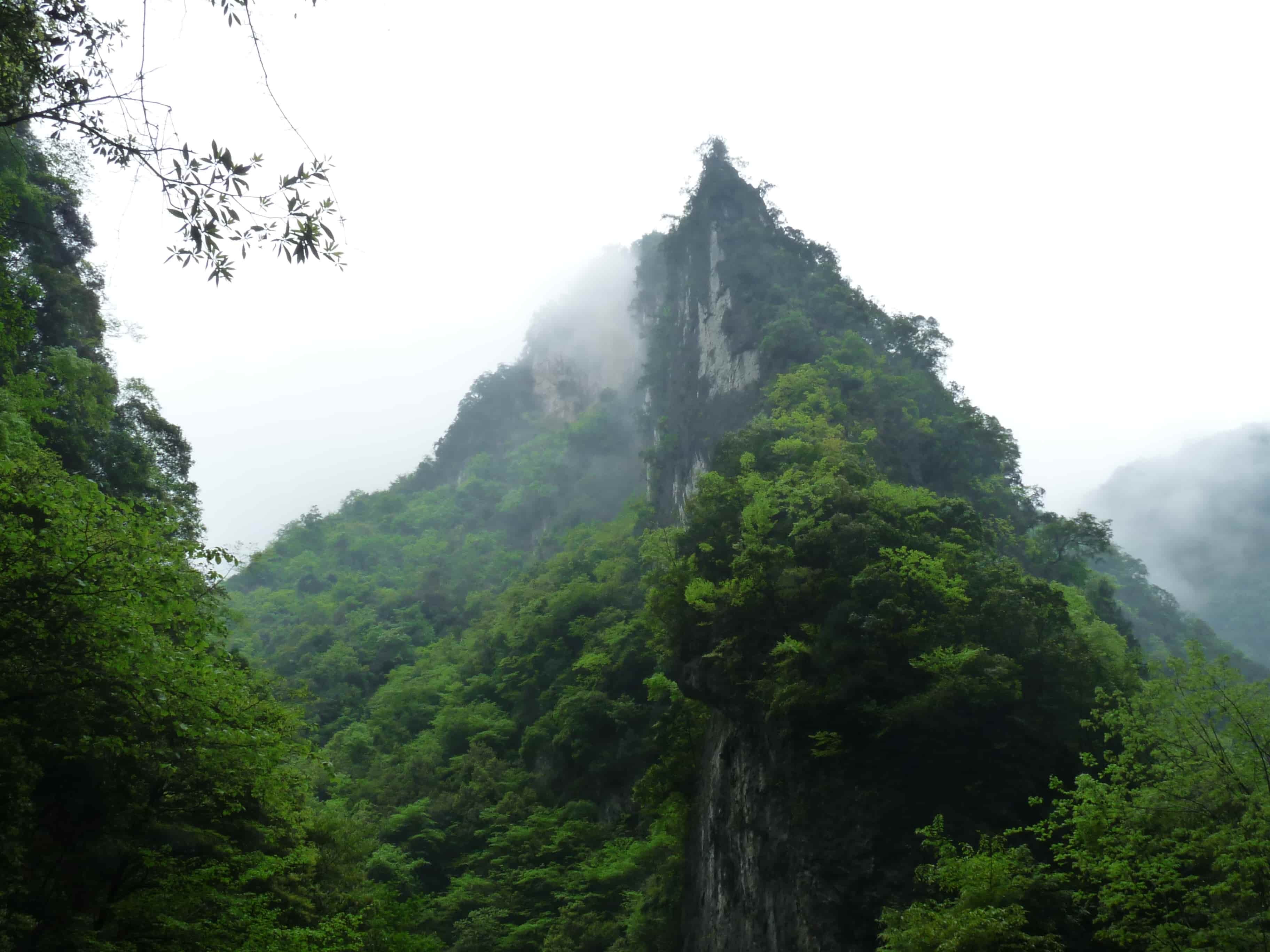 【这里是陕西】陕西石泉县:中坝大峡谷