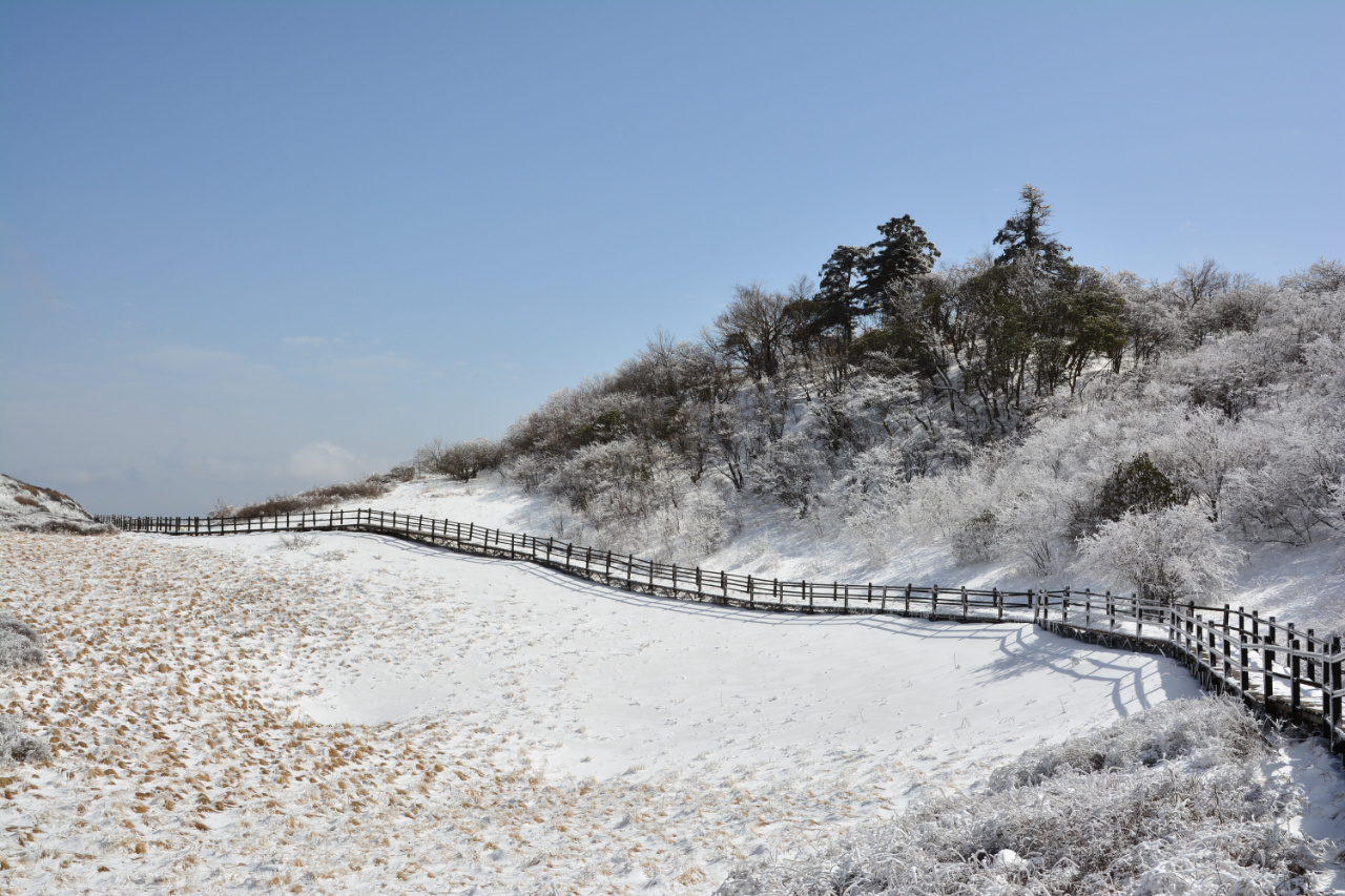 留坝紫柏山图片,留坝紫柏山,留坝紫柏山住宿_大山谷图库