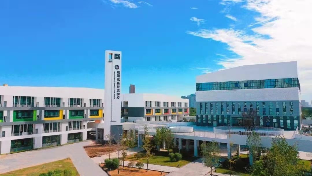 【强国征文】陕西咸阳市高新存志学校赵奕钦:我梦想着我的国