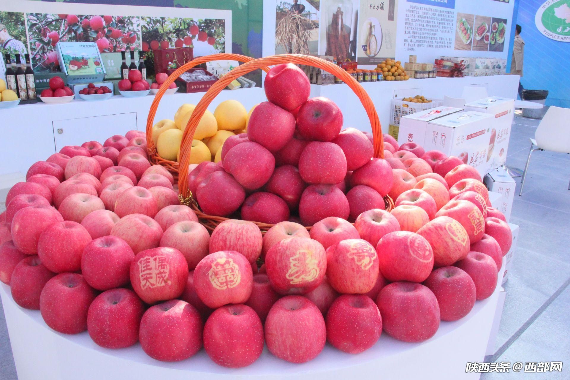 厅一级巡视员高武斌,广东省农业农村厅副厅长陈东推介两省特色农产品