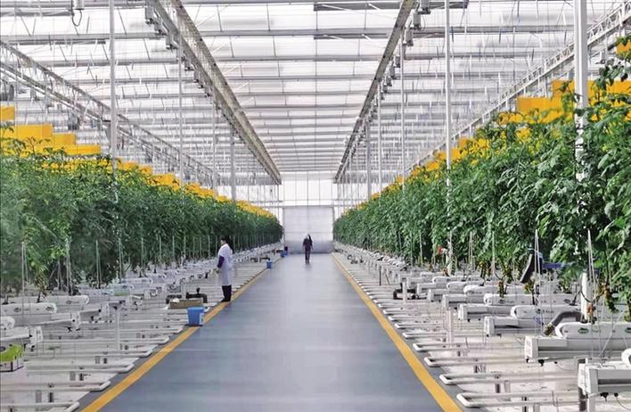 地热绿色能源前景广阔