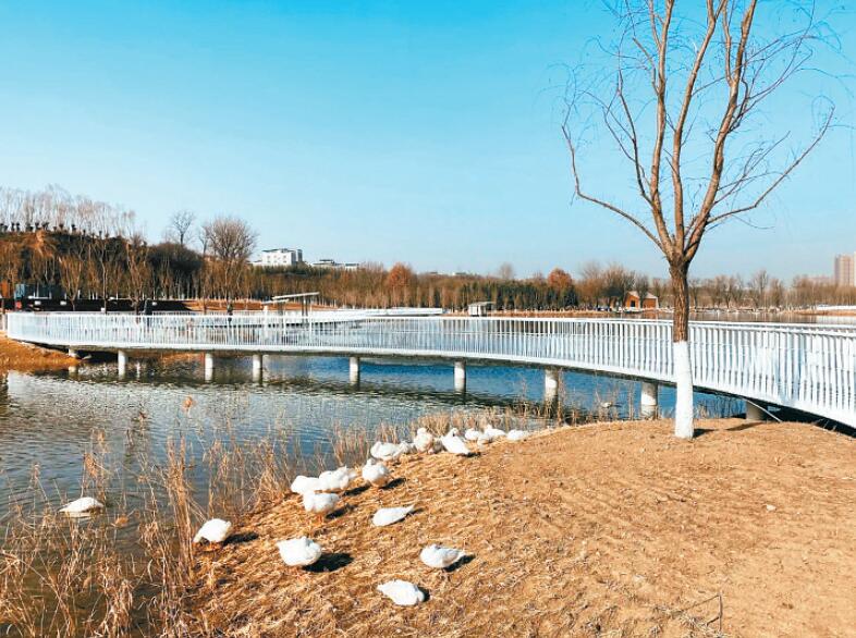 沙滩,游乐场,亲水平台等一应俱全 长安城市公园二期春节前将开放