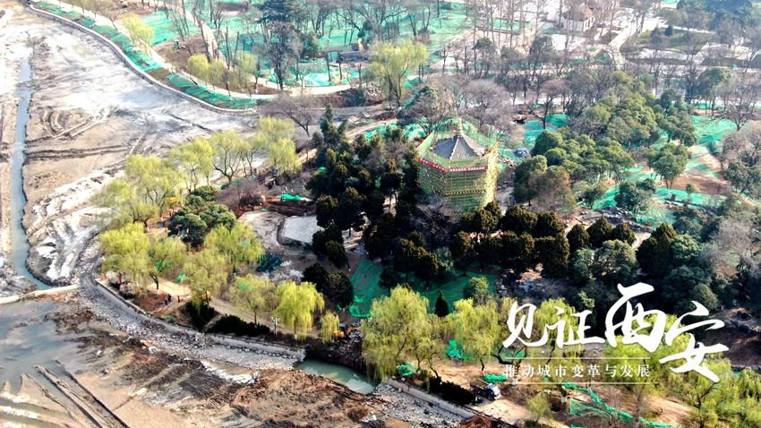 航拍兴庆宫公园改造湖体已完成消杀花萼楼外立面正修缮