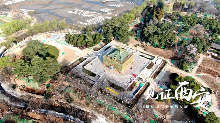 航拍兴庆宫公园改造湖体已完成消杀花萼楼外立面正修缮