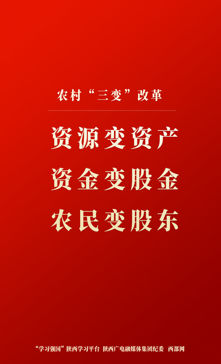 学习卡片农村三变改革