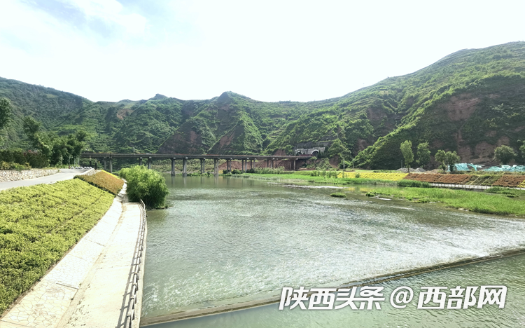 幸福河湖陕南行 |商洛建成丹江沿岸生态堤防25公里 各级河长共护“母亲河” - 西部网(陕西新闻网)