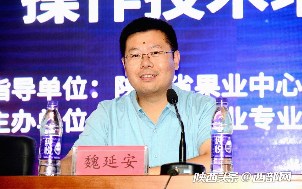 0智能选果线操作技术培训班在洛川举办