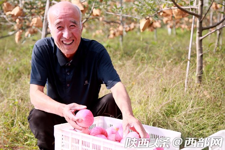 陕西宜君果农用2000多个苹果造火箭庆丰收喊航天员吃苹果