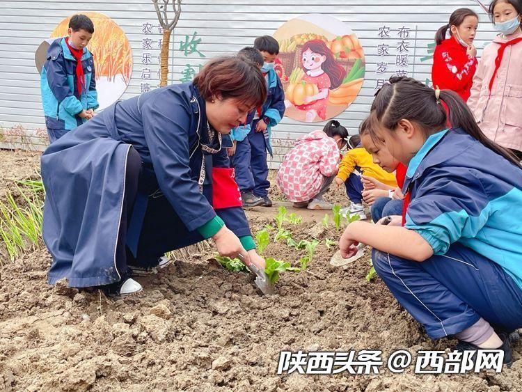 安康市第一小学胡刚图片