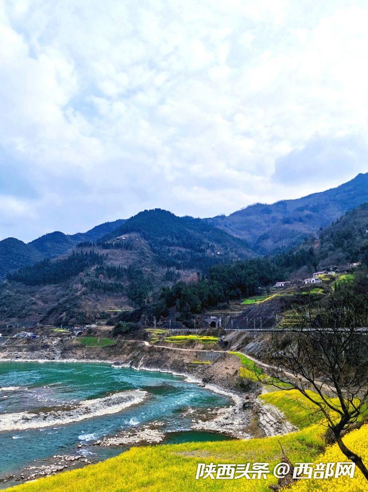 春天里的陕西宁强县燕子砭镇油菜花开美如画