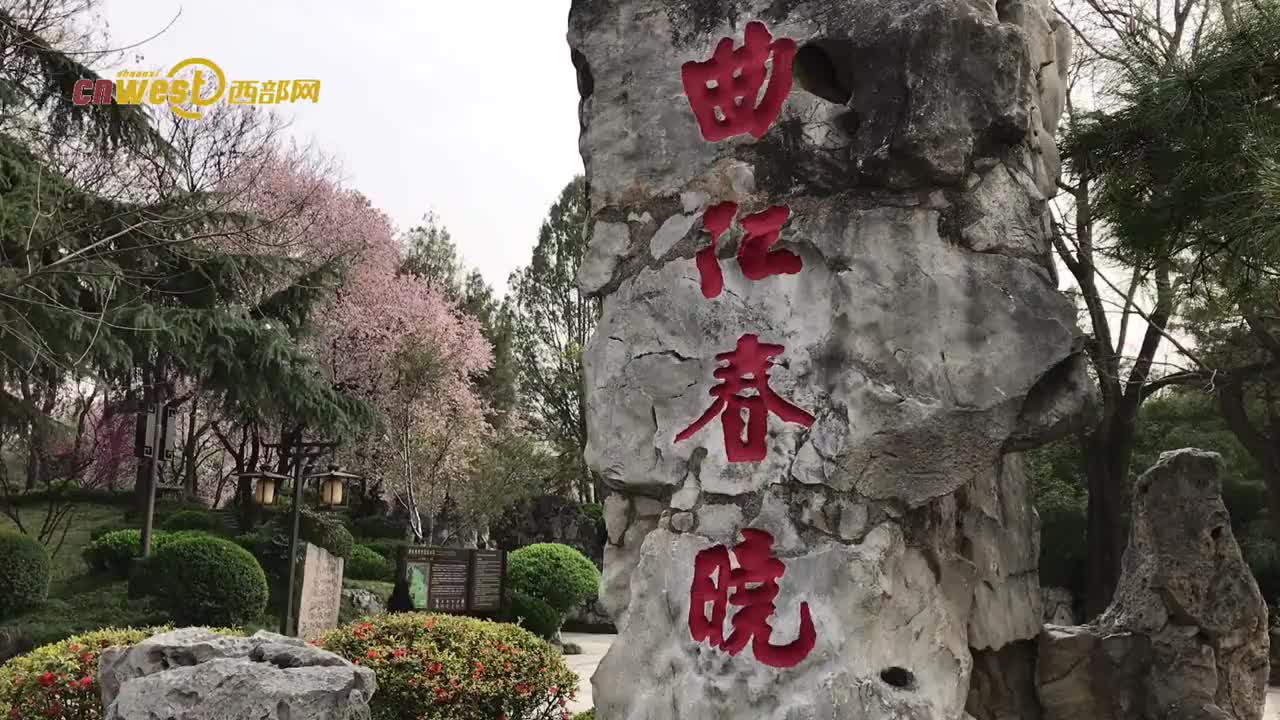 曲江春晓园大雁塔旁的精致园林满园春色惹人醉