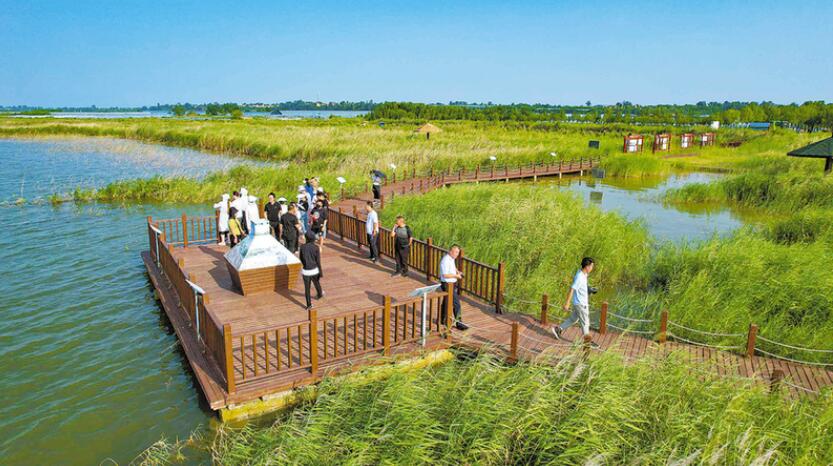 推动县域经济高质量发展主题采访活动大荔篇 - 西部网(陕西新闻网)