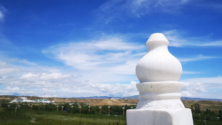 "中华水塔"守护屏障——中国太保三江源生态公益林