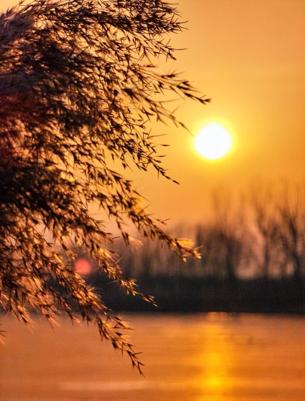 新华全媒镜头里的中国年兔年第一天的中国