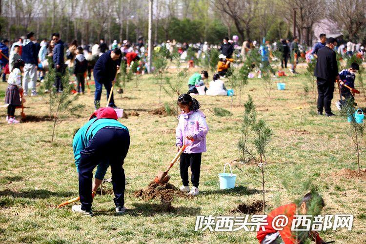 “植树添绿”扮靓文化遗产 汉长安城未央宫举办植树节主题活动 - 西部网(陕西新闻网)