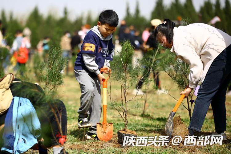 “植树添绿”扮靓文化遗产 汉长安城未央宫举办植树节主题活动 - 西部网(陕西新闻网)