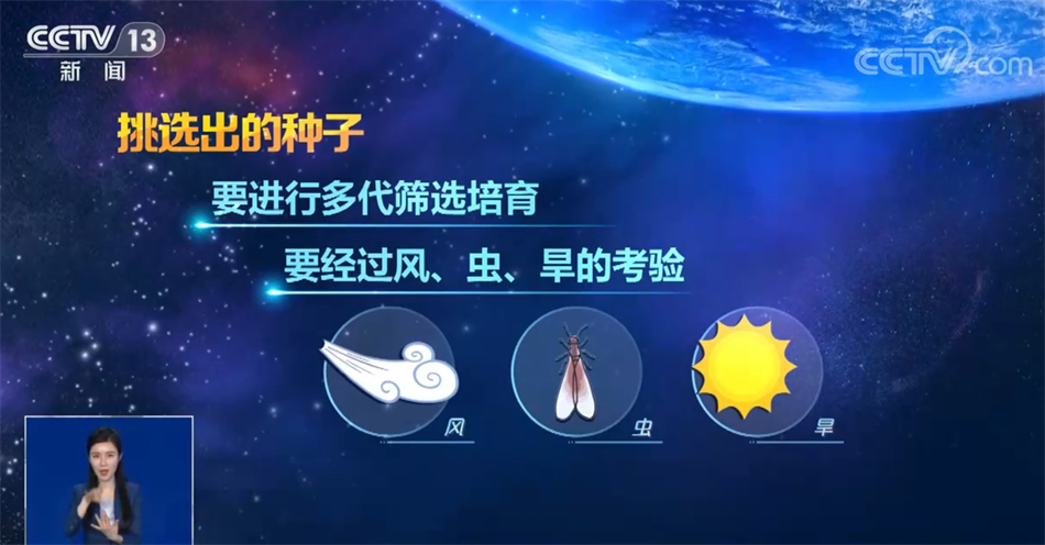 中国载人航天工程公开征集航天育种 “太空种子”有何神奇之处? - 西部网(陕西新闻网)
