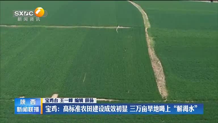 宝鸡:高标准农田建设成效初显 三万亩旱地喝上“解渴水” - 陕西网络广播电视台