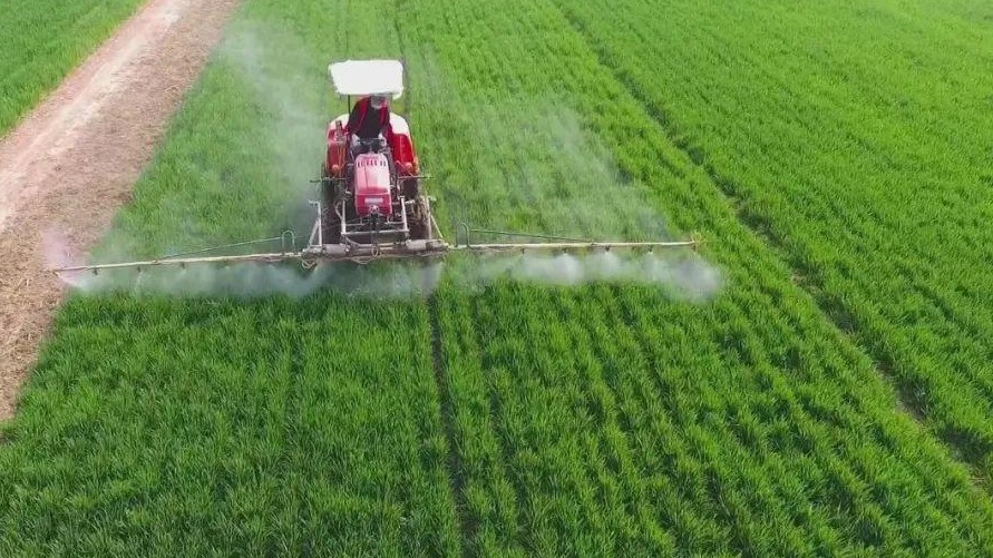 陕西今年确保完成粮食播种面积4507万亩 - 西部网(陕西新闻网)