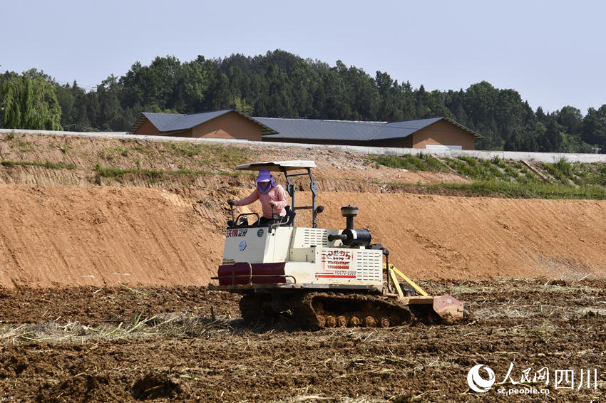 四川:因地制宜建设高标准农田 让“短板”土地焕发新活力 - 西部网(陕西新闻网)