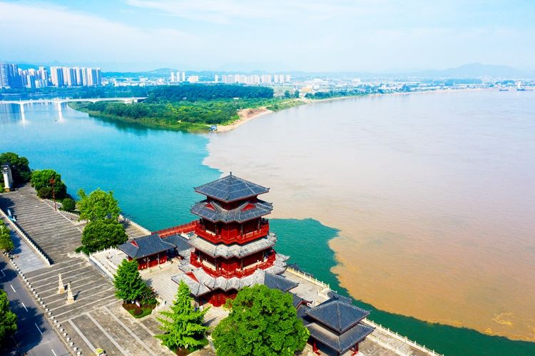 38万元奖金！快来为湖北宜都农产品区域公用品牌起个名 - 西部网（陕西新闻网）