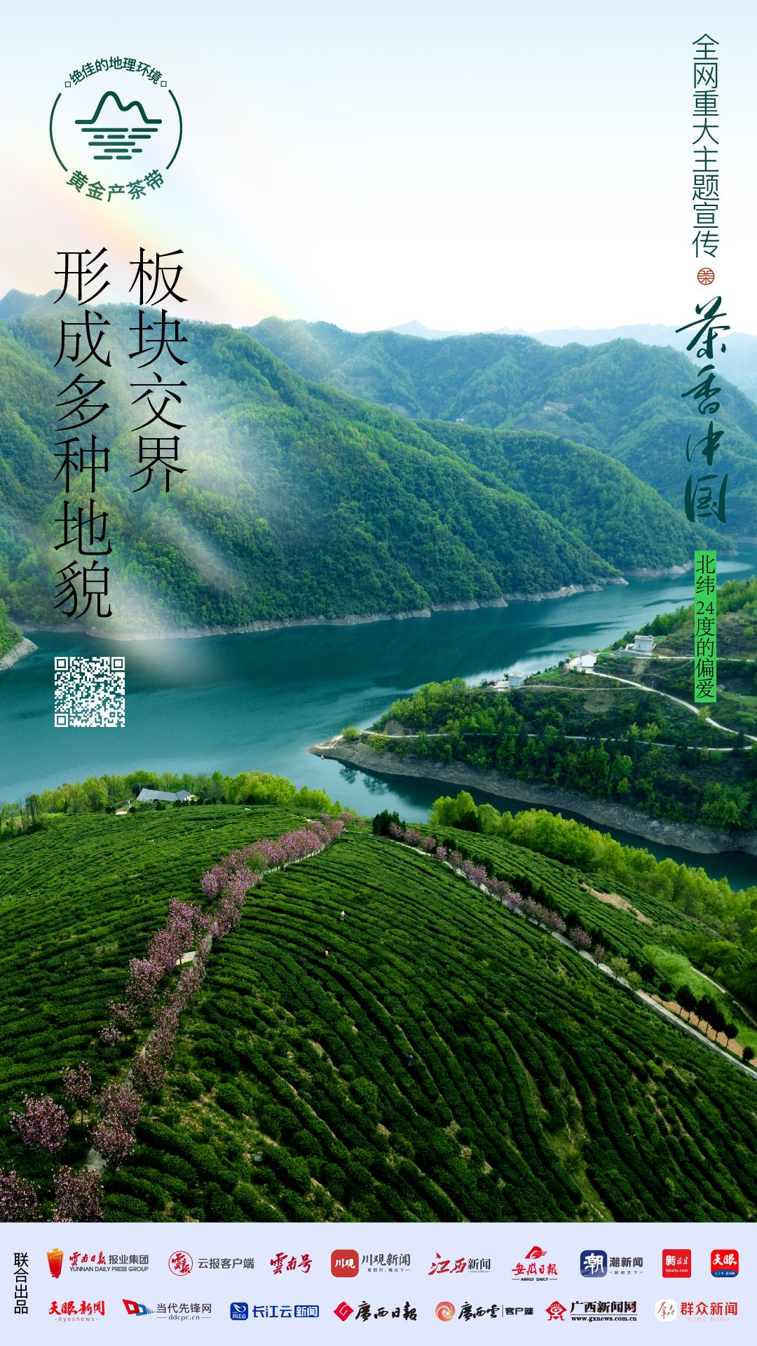 好山好水出好茶丨茶香中国北纬24度的偏爱①