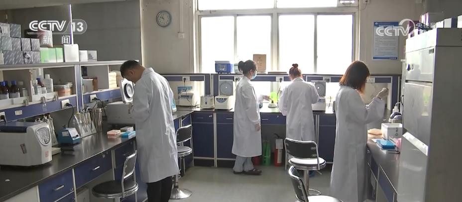 生物技术咨询：探索科学与应用的新篇章