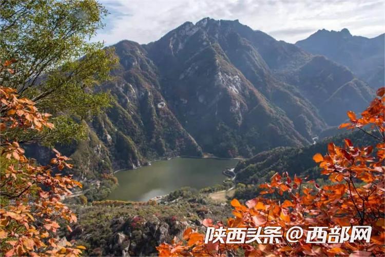 三秦四季 秋色“陕”烁来秦岭,赴一场红叶之约 - 西部网(陕西新闻网)