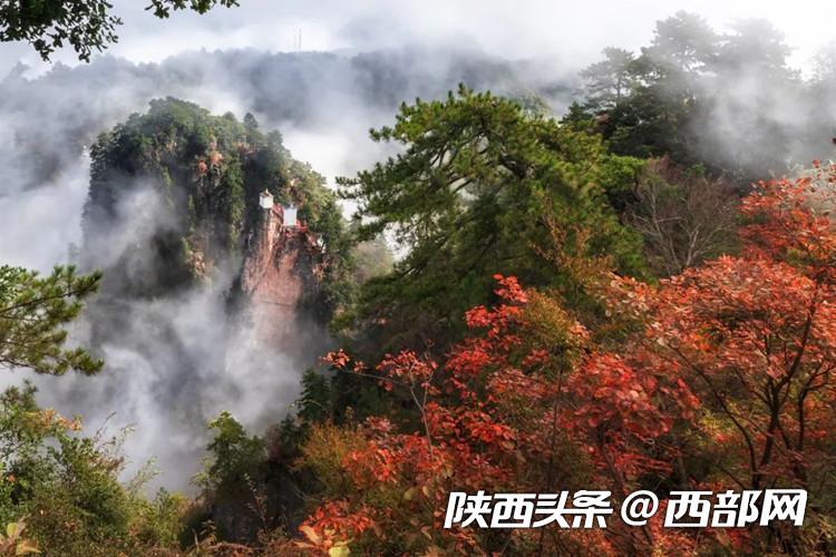 三秦四季秋色陕烁来秦岭赴一场红叶之约