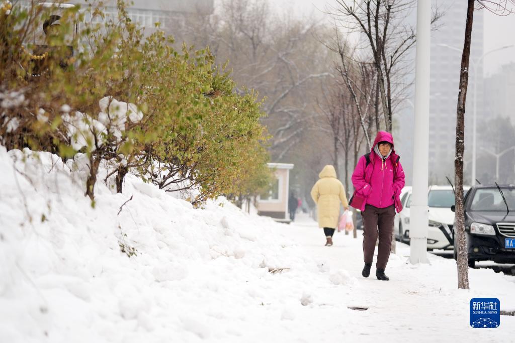 东北再迎较强雨雪天气 专家提醒注意叠加效应 - 西部网(陕西新闻网)