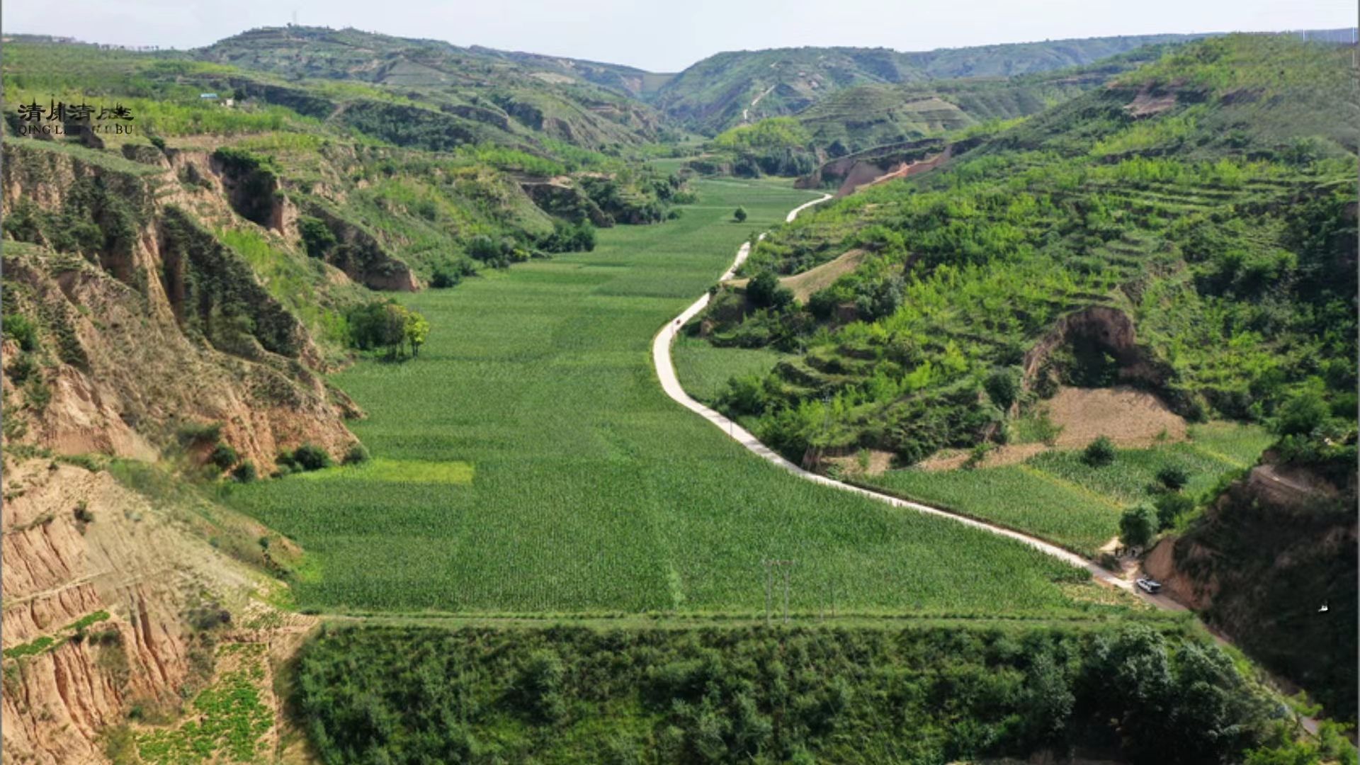 陕西吴堡:高效推进旱作节水农业 助力乡村振兴发展 