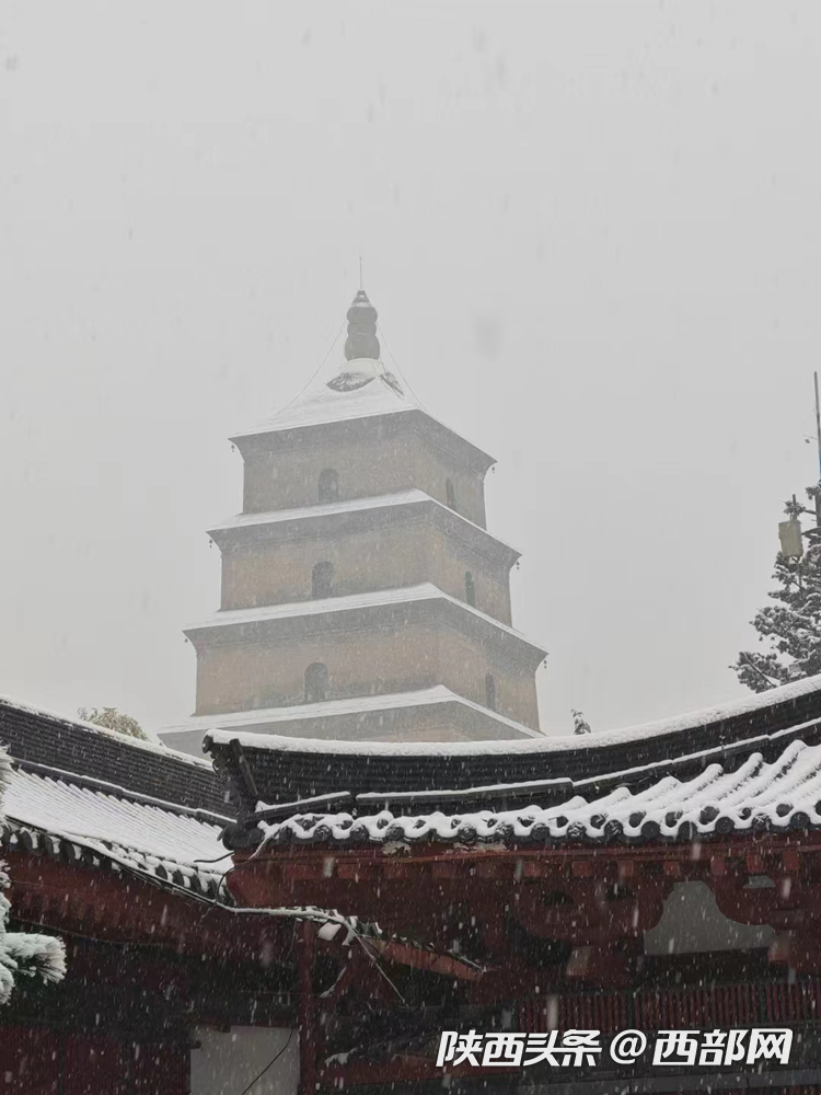 雪落长安一起欣赏西安高性价比雪景