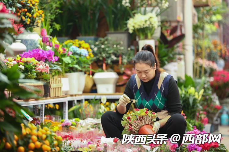 年宵花走俏年味儿越来越浓西安花卉市场持续升温