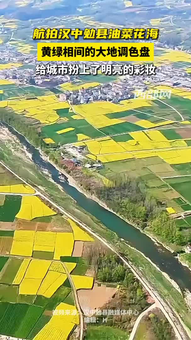 航拍汉中勉县油菜花海黄绿相间的大地调色盘扮靓城市春日