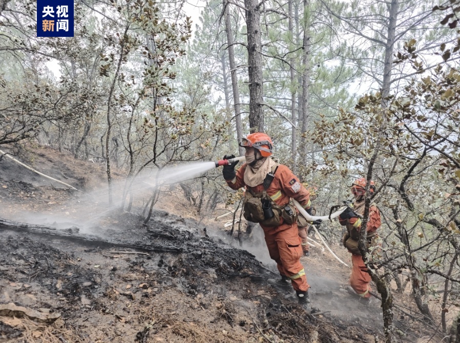 四川雅江森林火灾2号火场西北线明火被扑灭