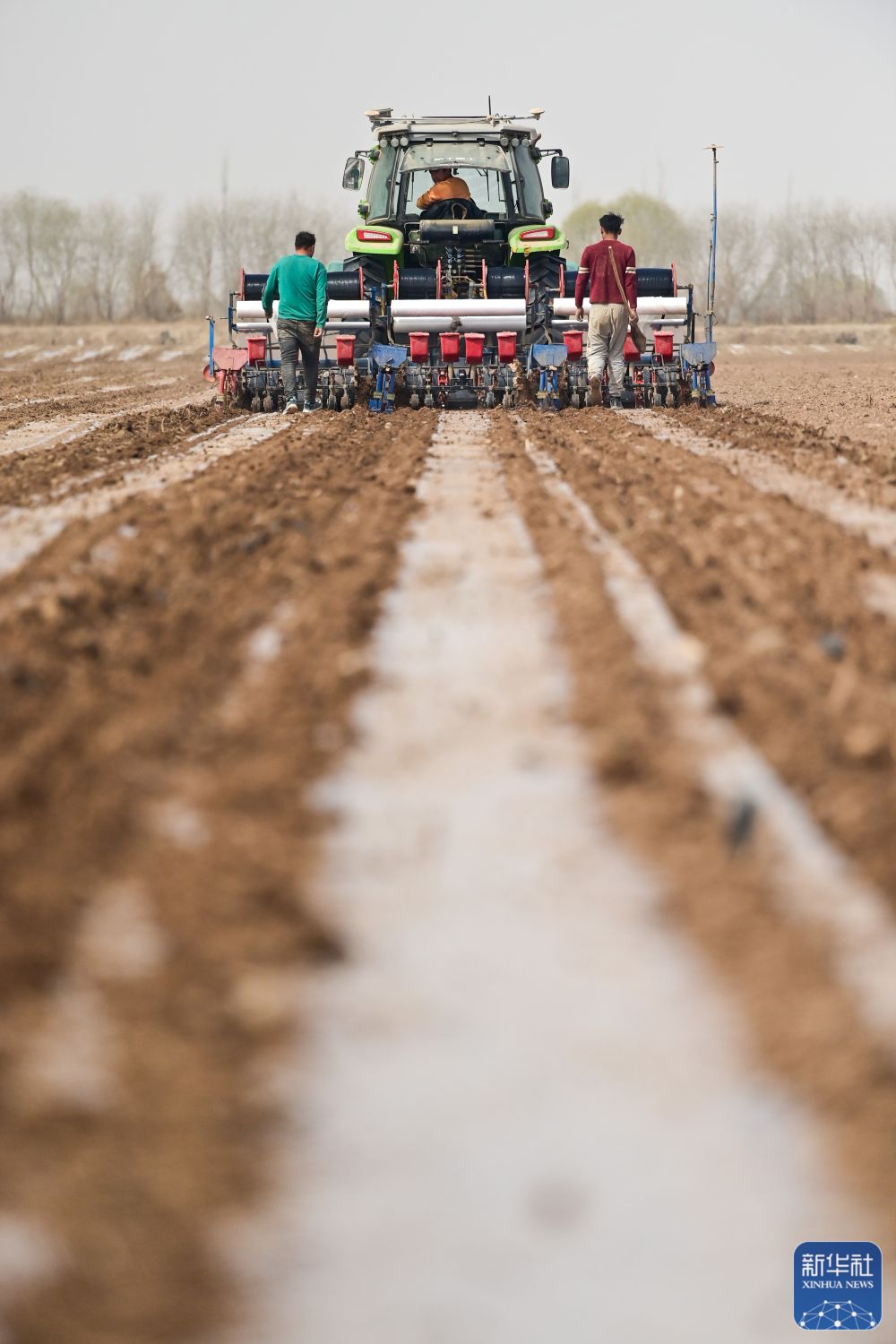 新华全媒丨新疆抢抓农时农作物播种有序推进