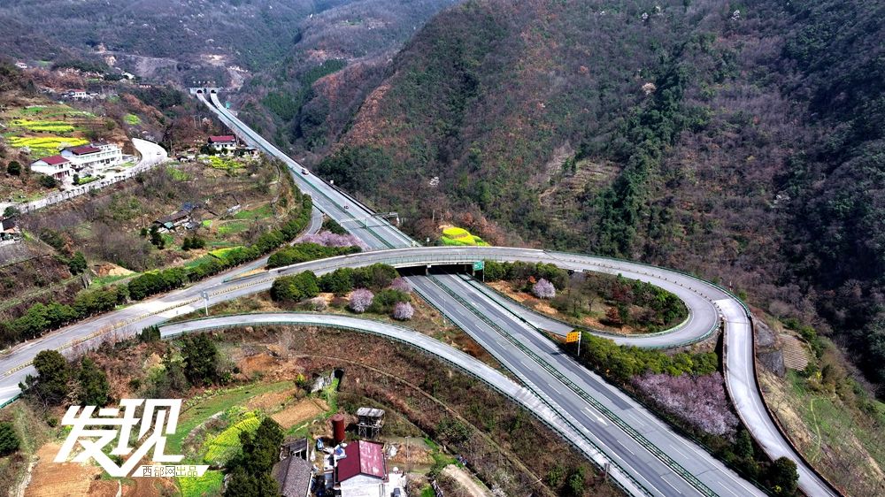 首页>新闻频道>发现1000_562