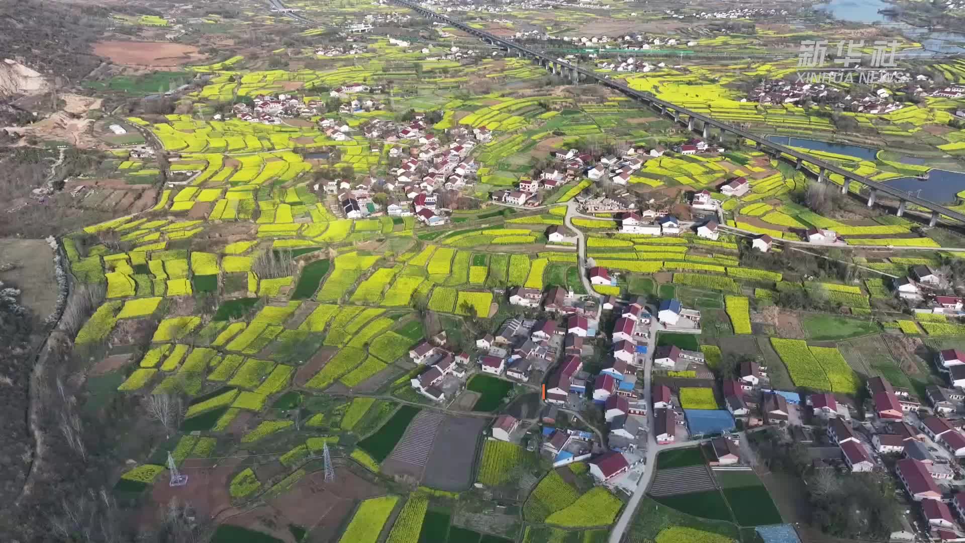 三秦大地:千般春色 万象“耕”新 - 西部网(陕西新闻网)