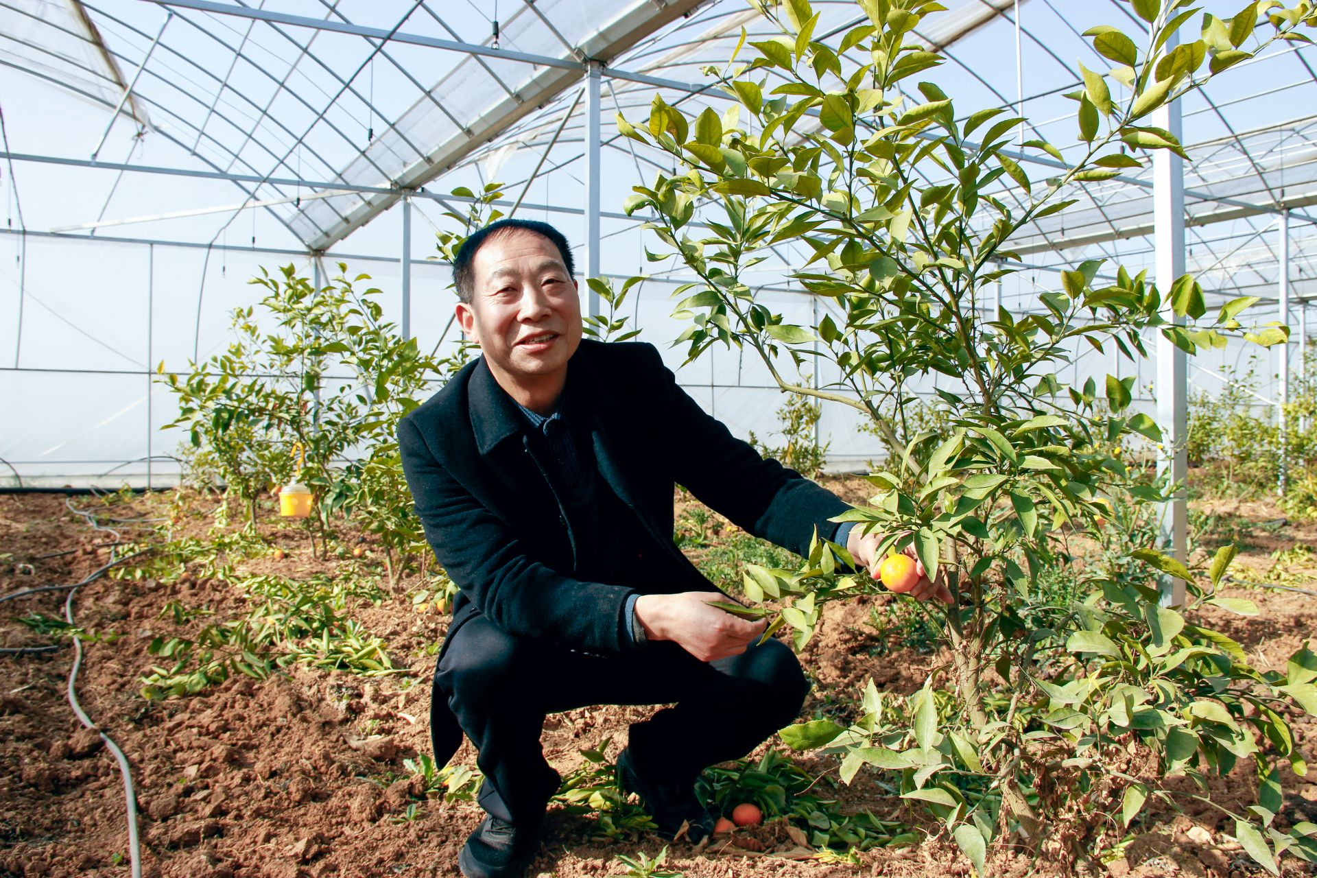 高素质农民夏廷庆农技土专家成为985大学校外指导教师