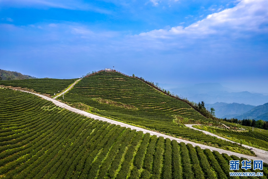 绥江风景图图片