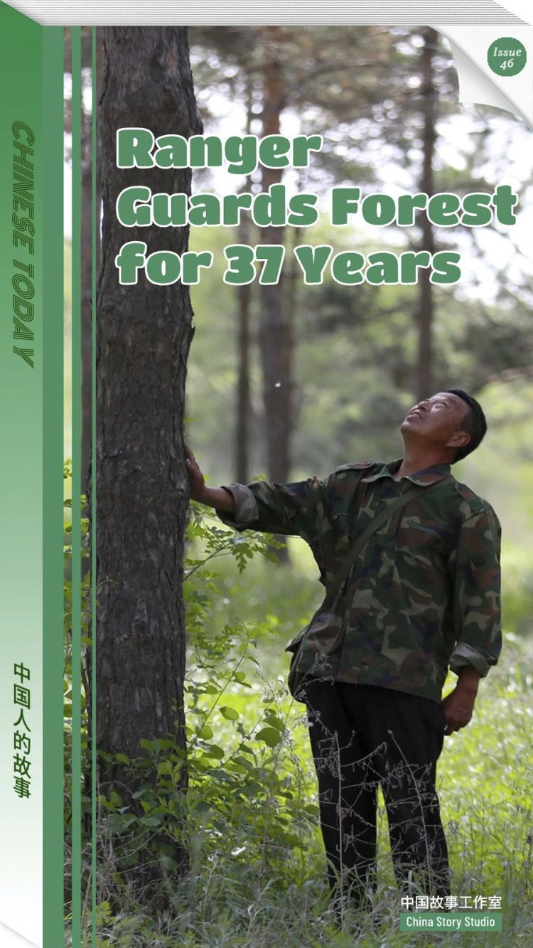 ChineseToday | Ranger guards forest for 37 years in NE China's Liaoning ...